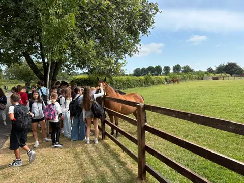Ragazzi che accarezzano i cavalli oltre lo steccato di un prato