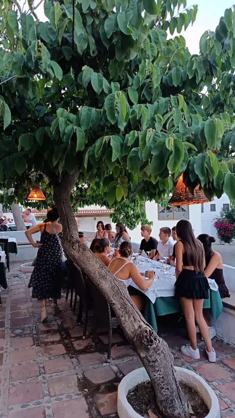 Pranzo all’aperto in un cortile bianco, all’ombra di un grande albero